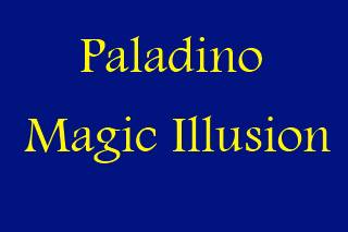 Paladino Magic Illusion