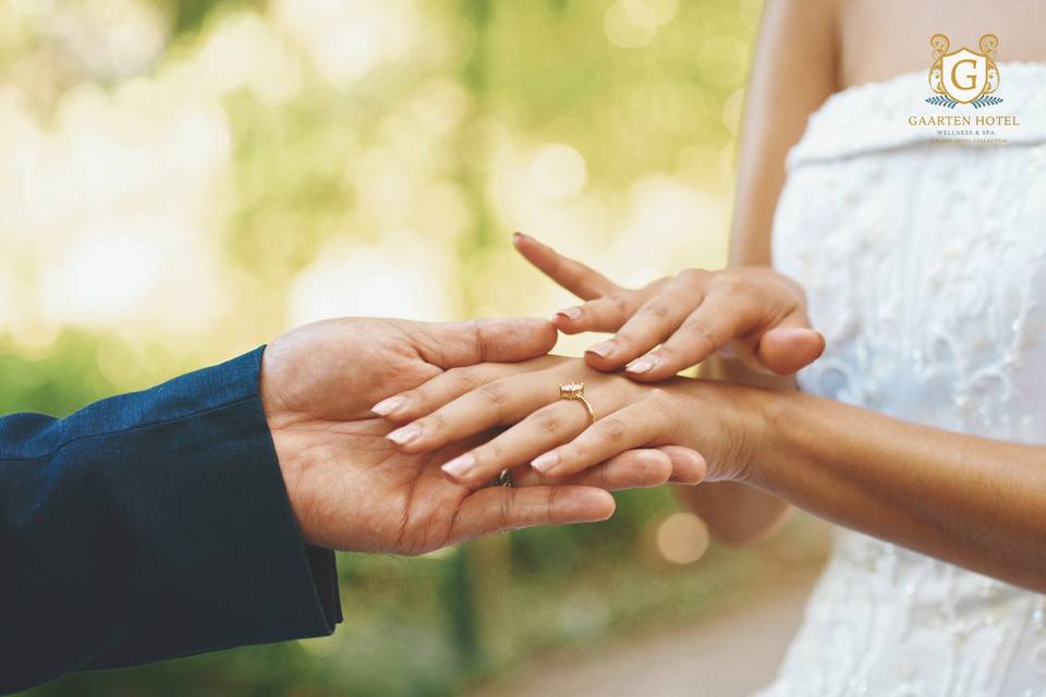 Hotel Gaarten Wedding Party