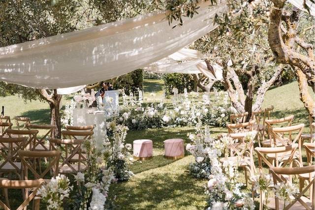 Cerimonia tra gli ulivi