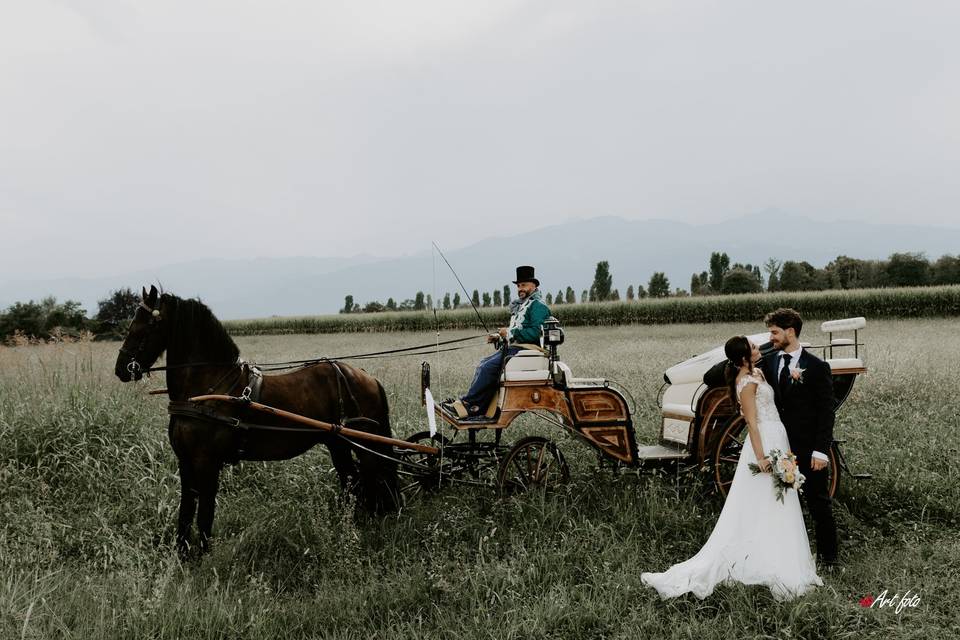 In carrozza