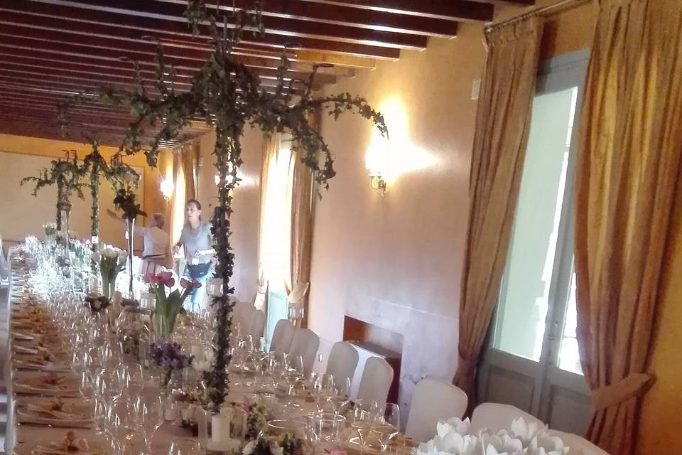 Invita un Violino a cena ...