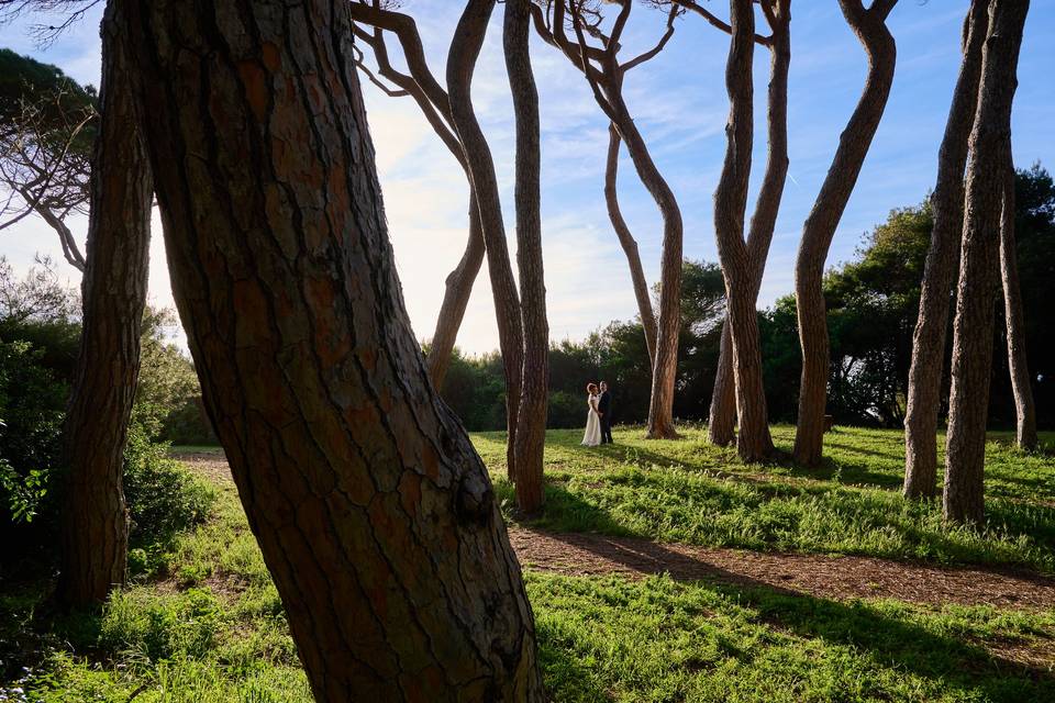 Baratti e pineta