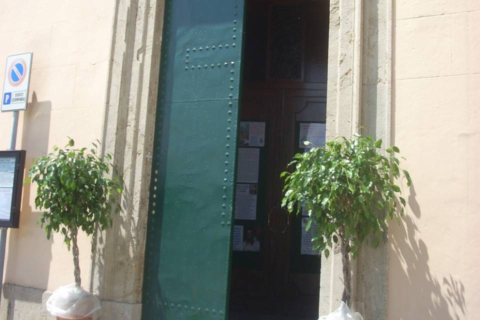 Esterno chiesa piante noleggio