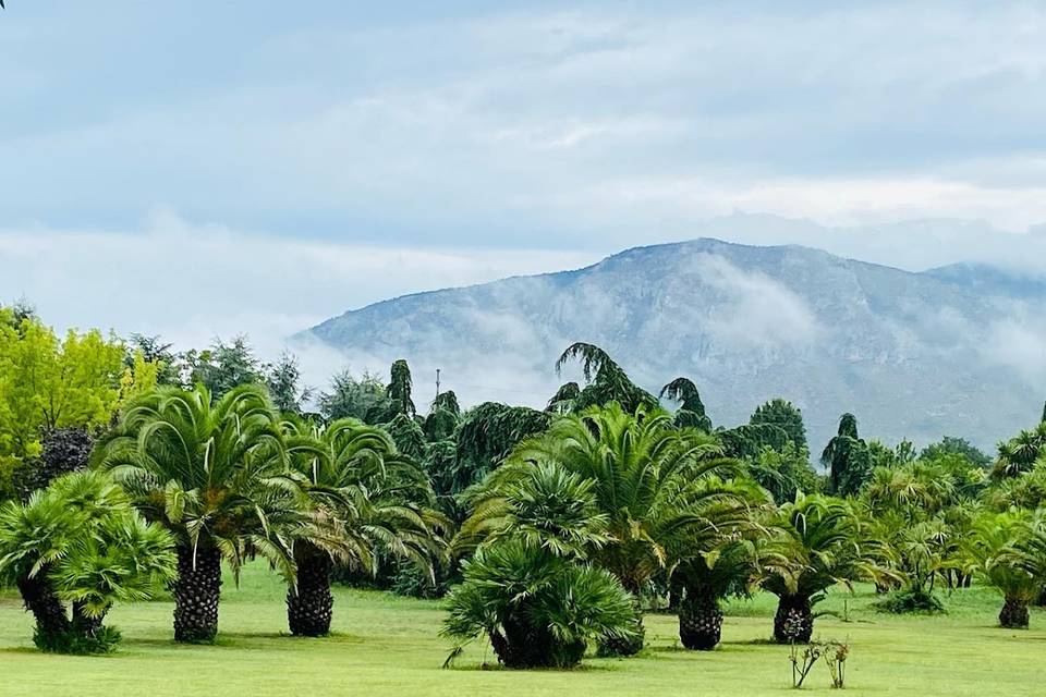 Parco Botanico di 3 Ettari