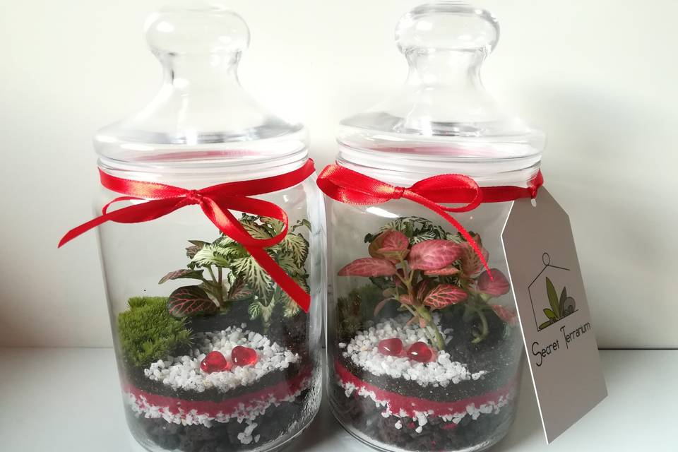 Terrarium San Valentino