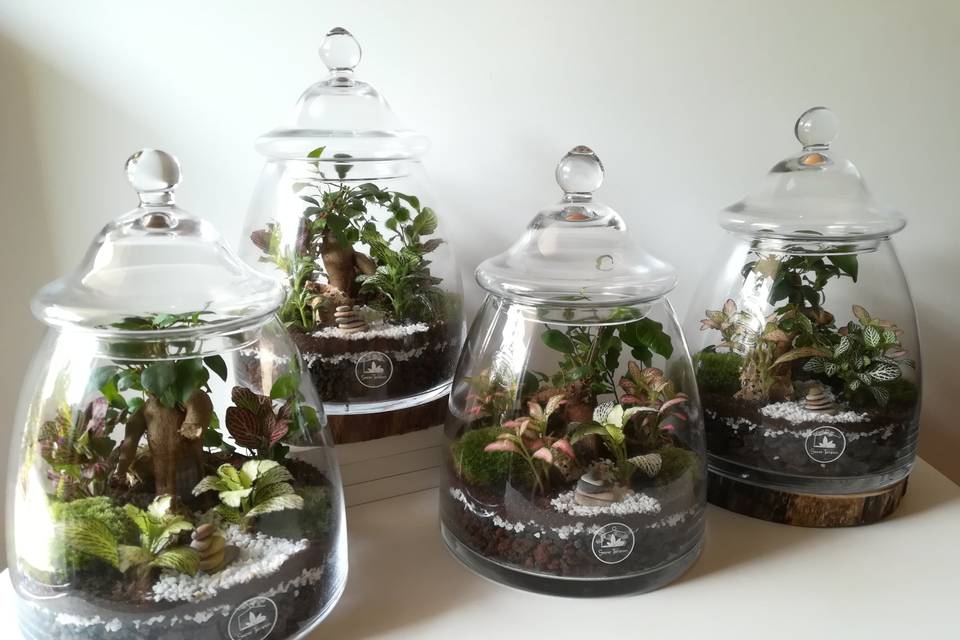 Terrarium design bonsai