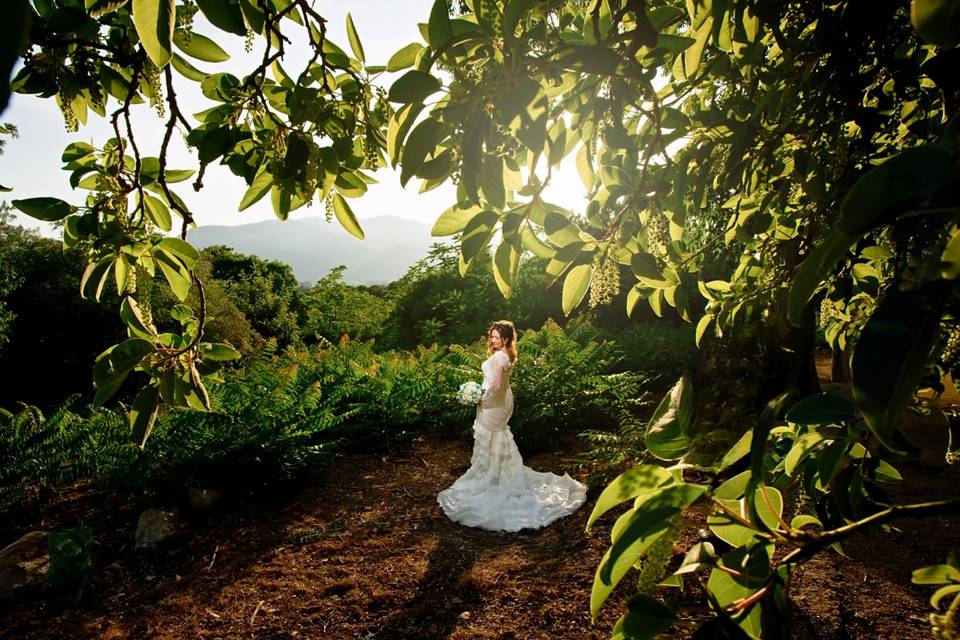 Sposa sola