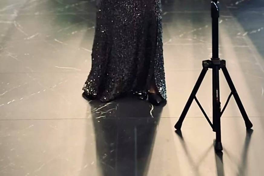 Anna Antonelli - Violino