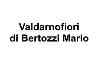 Valdarnofiori di bertozzi mario