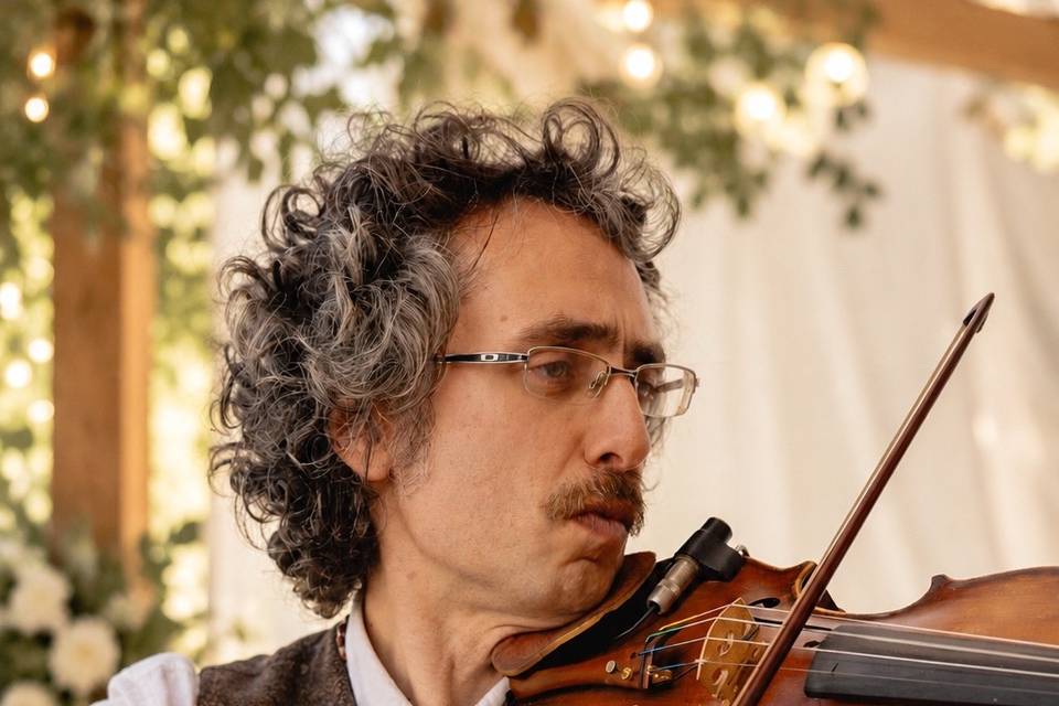 The Fiddler