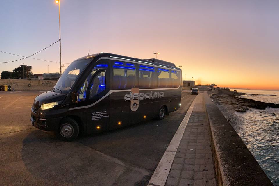 Depalma Bus