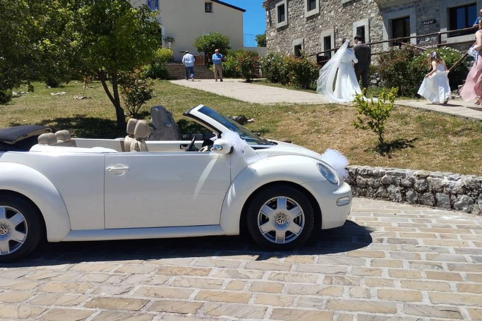 New Beetle cabrio