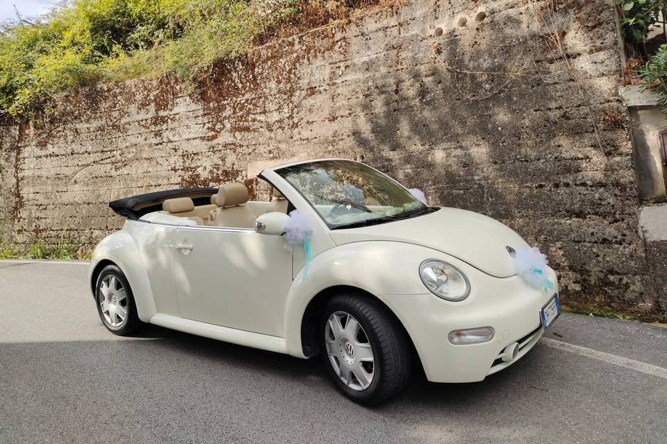 New Beetle cabrio