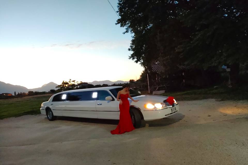 Limousine