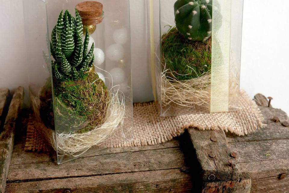 Fatkokedama confezione