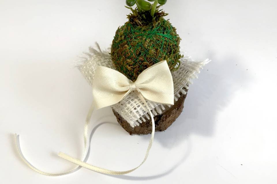 Mini kokedama