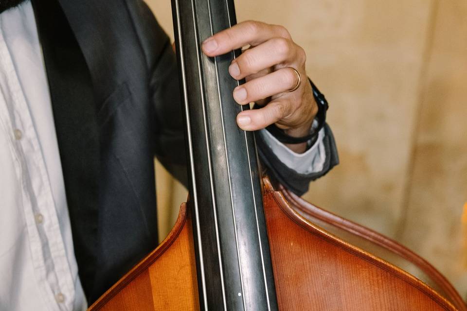 Dettaglio_contrabbasso_legno_mani