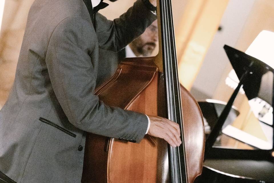 Musicista_con_contrabbasso_legno