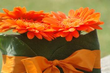 Composizione arancio