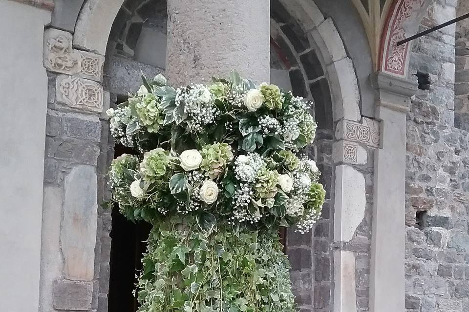 Piante e Fiori Paolo Giovenzana