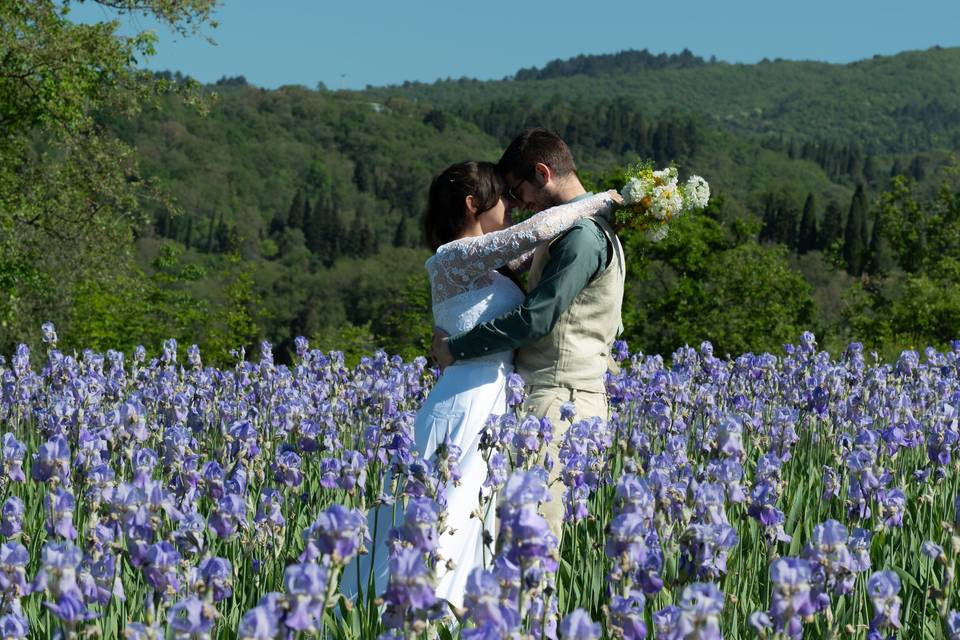 Esplosione di colore