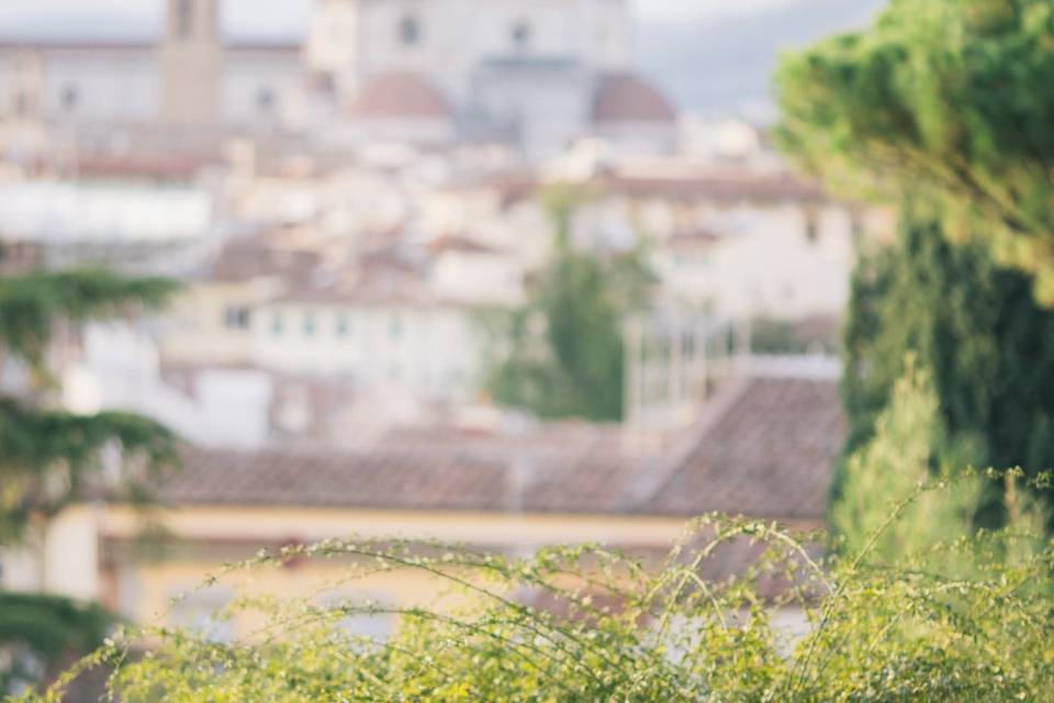 Engagement in Florence