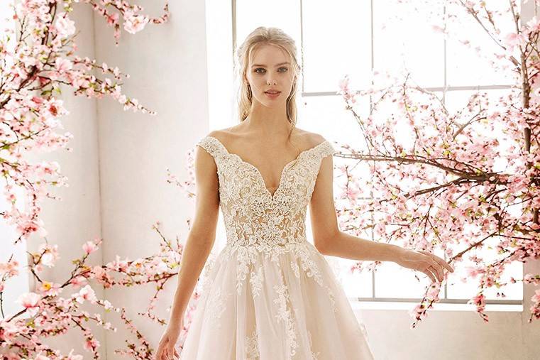 Linea  Sposa by Pronovias F.G.