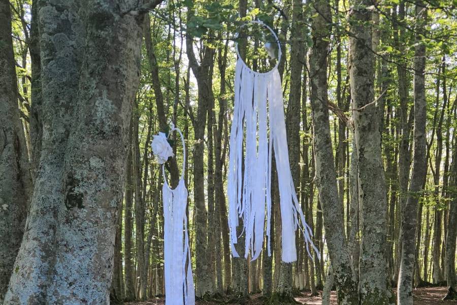 Allestimento sul bosco