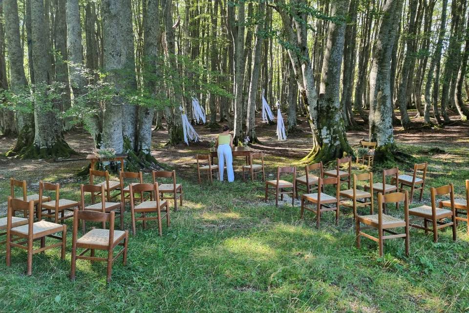 Allestimento sul bosco