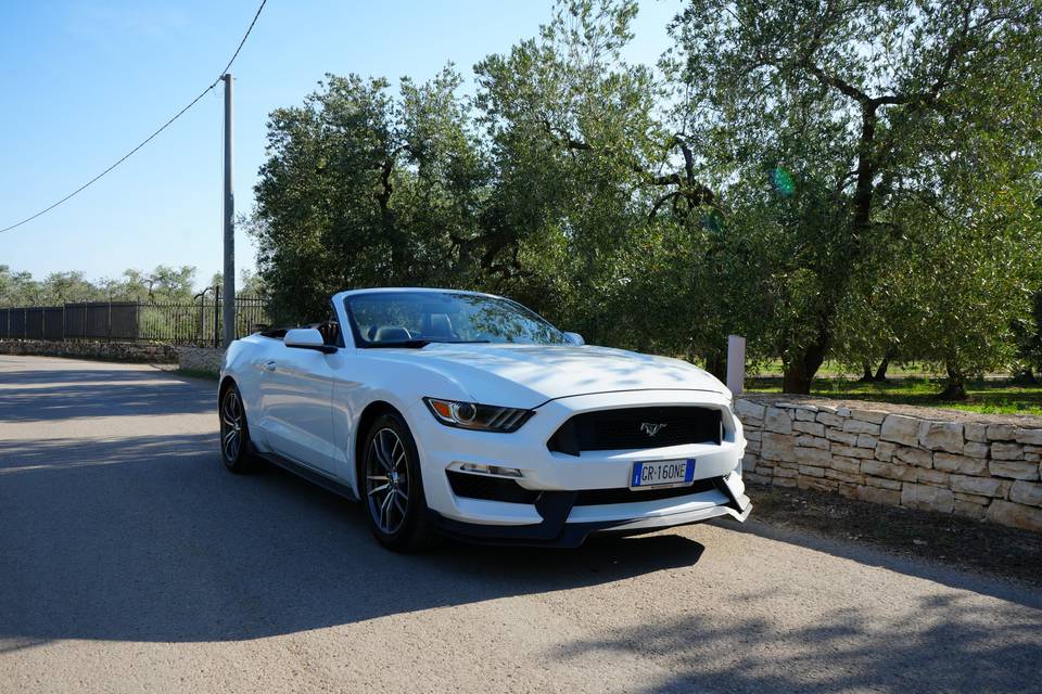 Mustang Cabrio