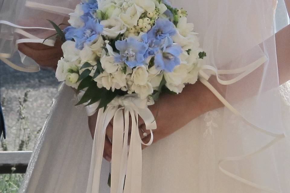 Bouquet di delphinium