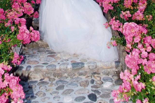 Il colore delle emozioni