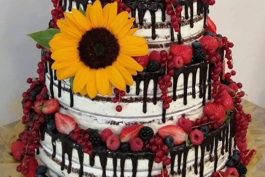 Cake & Coffee