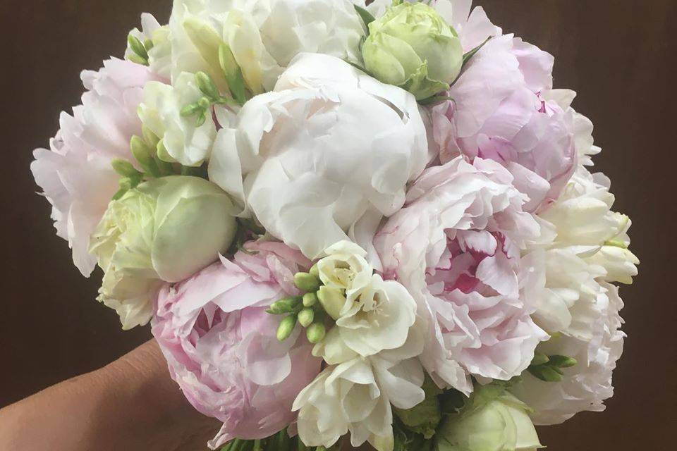 Peonies bouquet