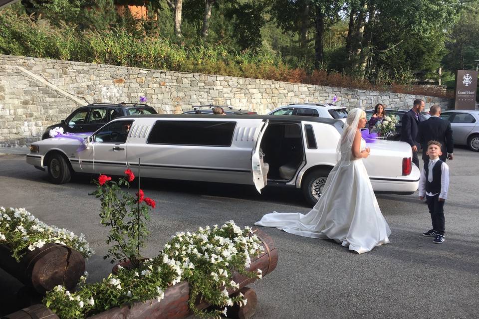 Limousine wedding