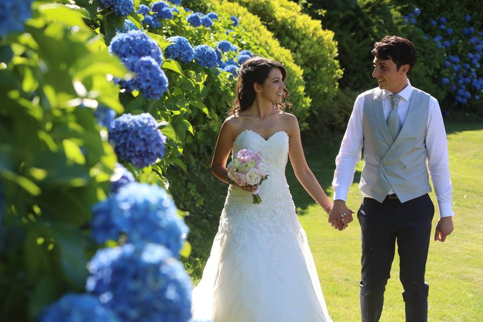 Ortensie azzurre in villa