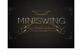 Miniswing