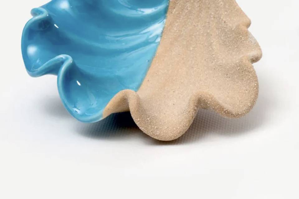 Svutatasche conchiglia