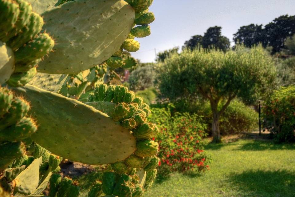 Tenuta di Roccadia