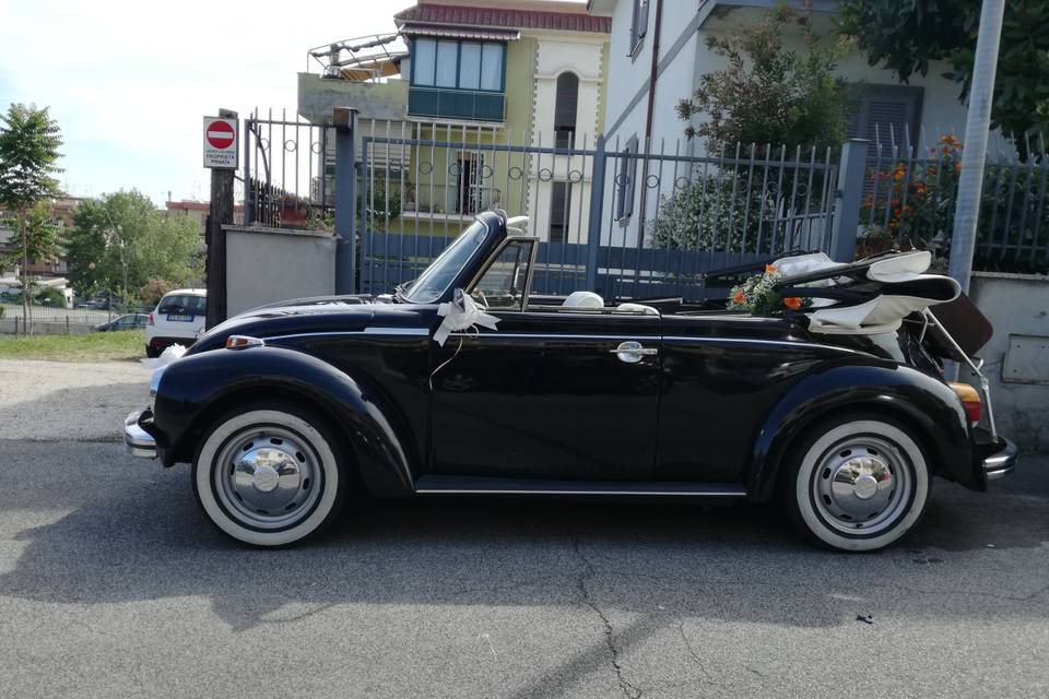 Maggiolonje Cabrio 73