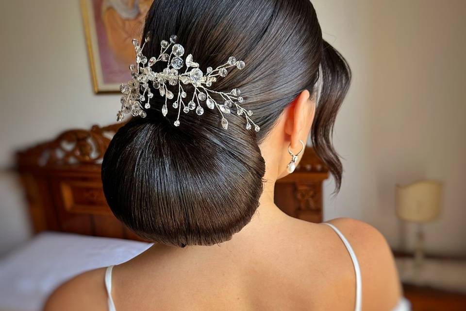 Chignon 2d volume