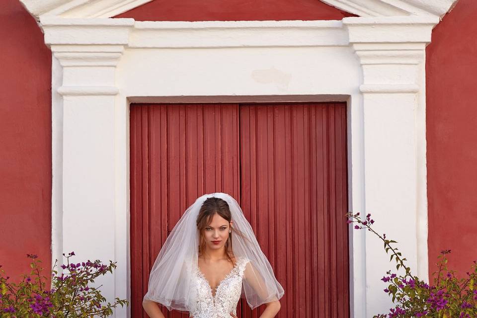Nicole linea aurora
