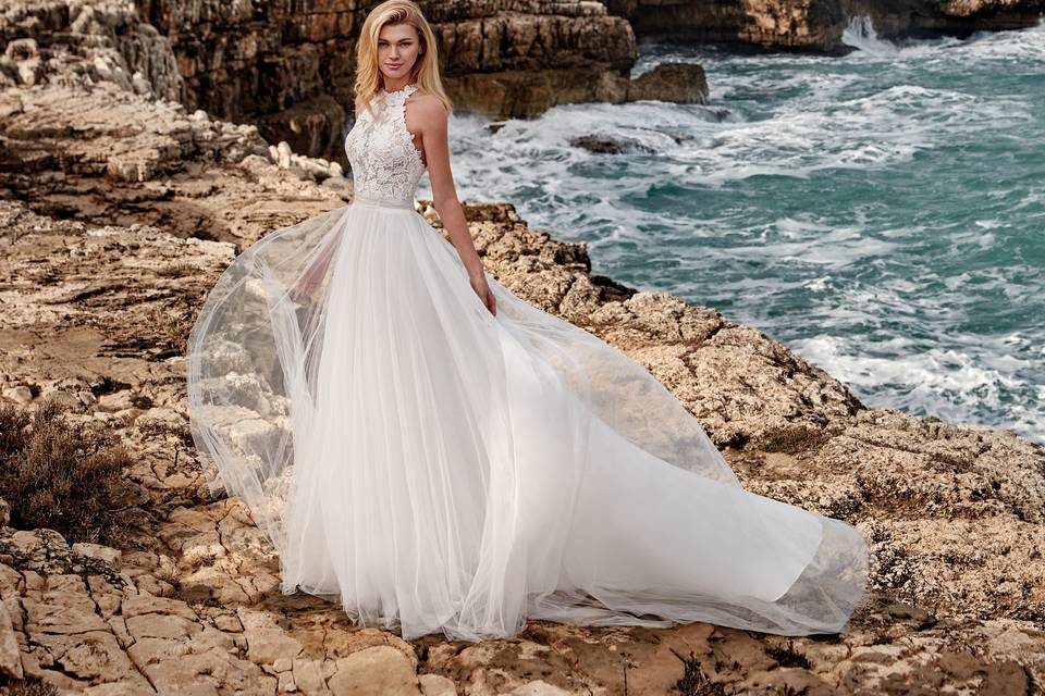 Nicole linea aurora