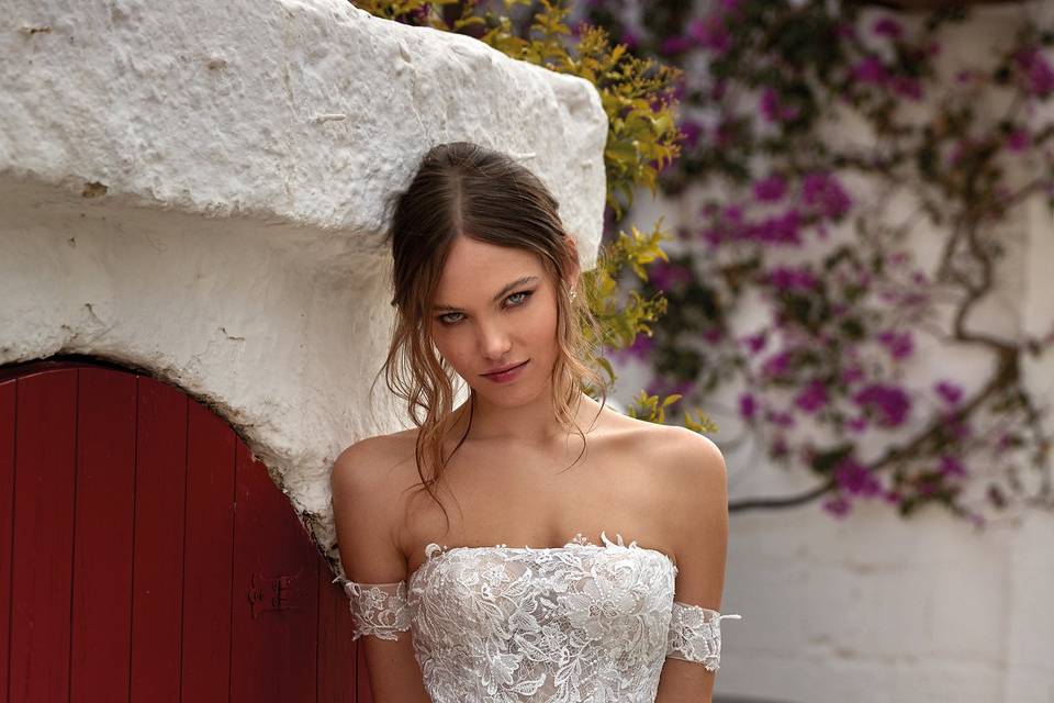 Nicole linea aurora