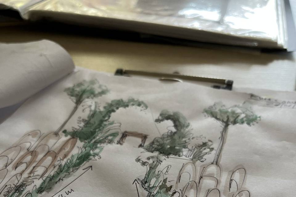 Paint and project