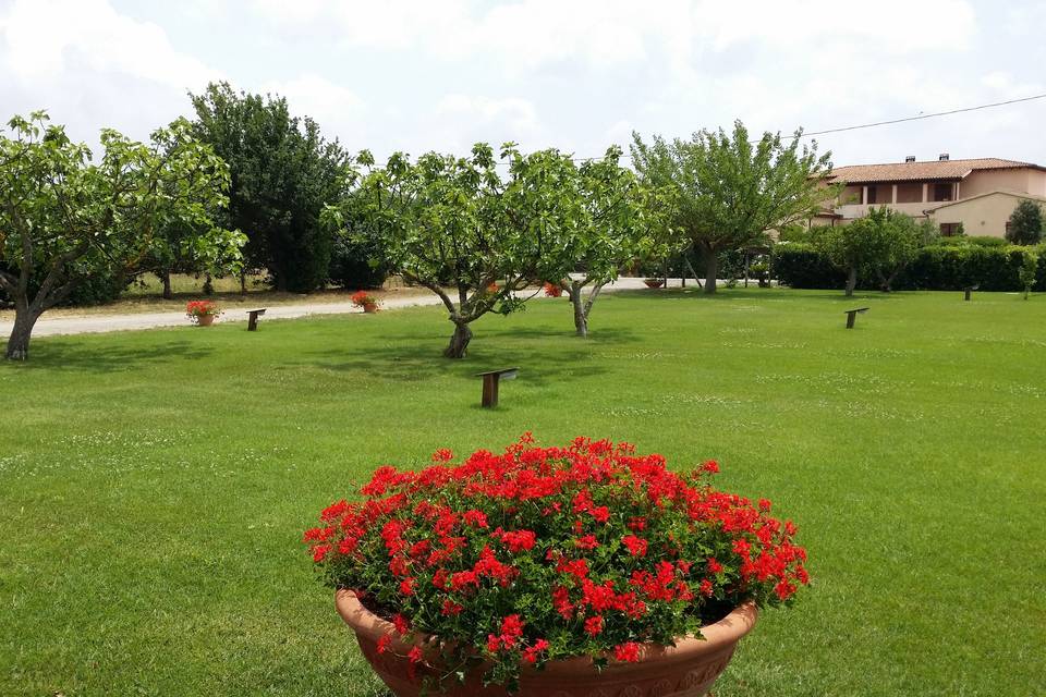 Agriturismo Cirene