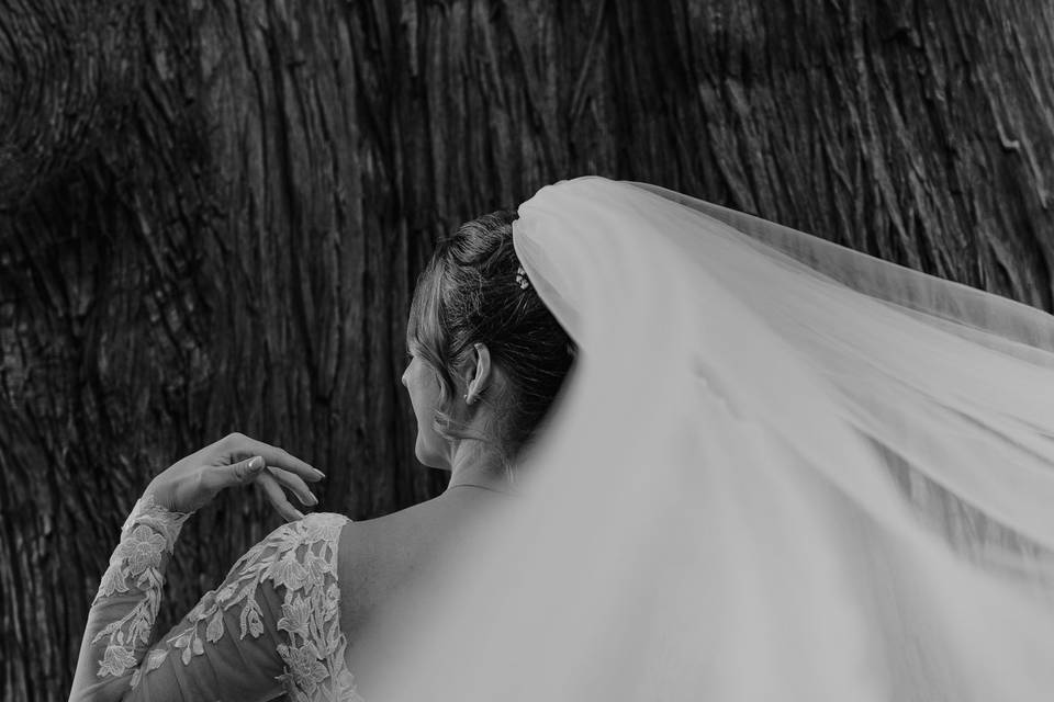 Mattia Vannini Photography