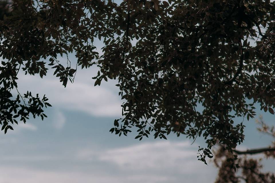 Mattia Vannini Photography