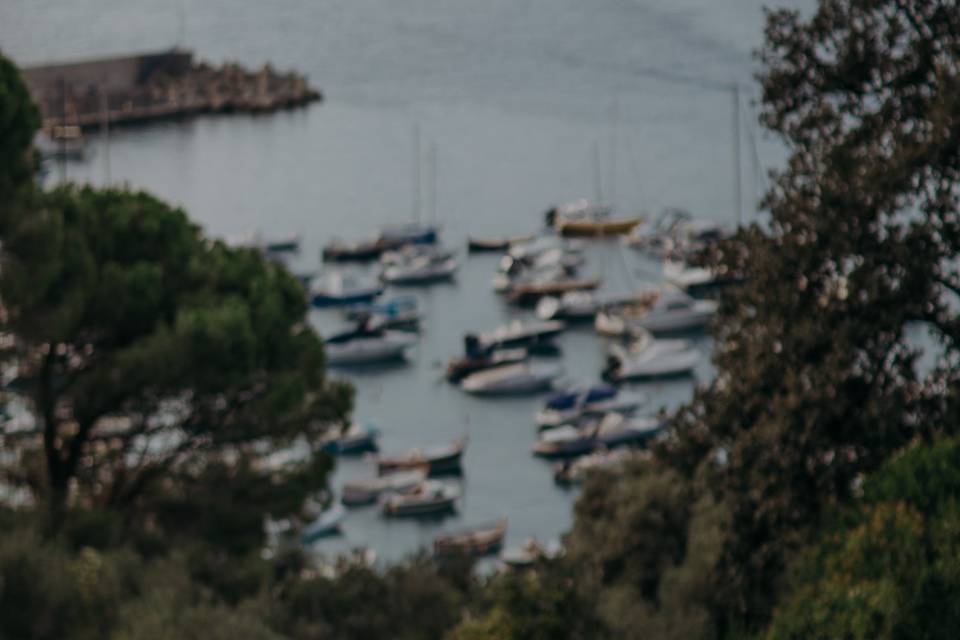 Mattia Vannini Photography