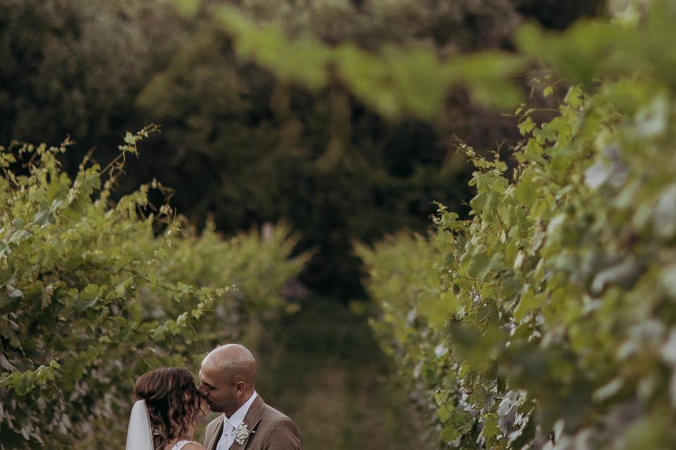 Mattia Vannini Photography